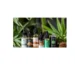 Top CBD Vape Juices You Can Buy Online | Discover the best CBD vape juices available online. Explore top-rated options for flavor, potency, and quality. Click to find your perfect CBD vape juice today.